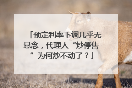 预定利率下调几乎无悬念，代理人“炒停售”为何炒不动了？