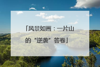 风景如画：一片山的“逆袭”答卷