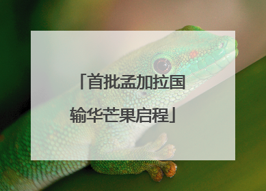 首批孟加拉国输华芒果启程