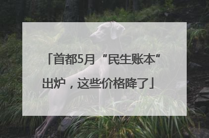 首都5月“民生账本”出炉，这些价格降了