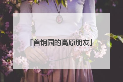 首钢园的高原朋友
