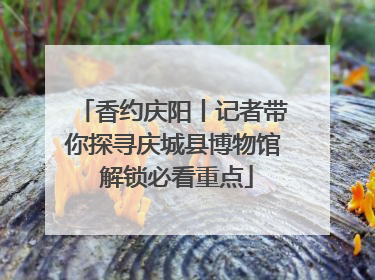 香约庆阳丨记者带你探寻庆城县博物馆 解锁必看重点