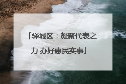 驿城区：凝聚代表之力 办好惠民实事