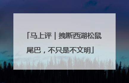 马上评｜拽断西湖松鼠尾巴，不只是不文明