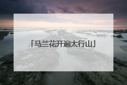 马兰花开遍太行山
