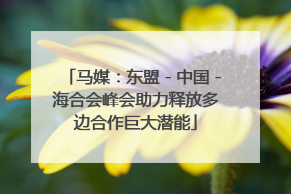 马媒：东盟－中国－海合会峰会助力释放多边合作巨大潜能
