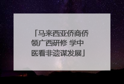 马来西亚侨商侨领广西研修 学中医看非遗谋发展