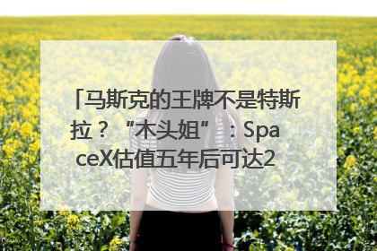 马斯克的王牌不是特斯拉？“木头姐”：SpaceX估值五年后可达2.5万亿美元！