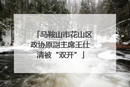 马鞍山市花山区政协原副主席王仕清被“双开”