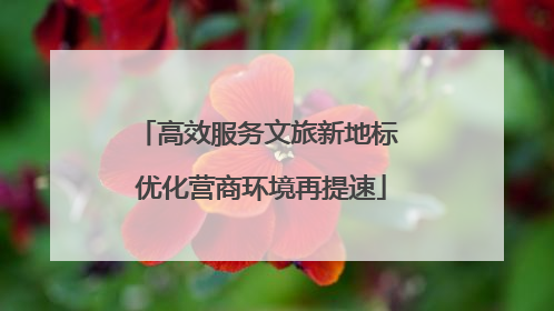 高效服务文旅新地标 优化营商环境再提速