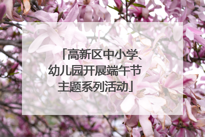 高新区中小学、幼儿园开展端午节主题系列活动