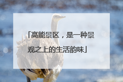 高能景区，是一种景观之上的生活韵味