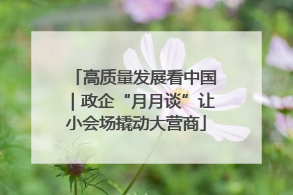 高质量发展看中国｜政企“月月谈”让小会场撬动大营商