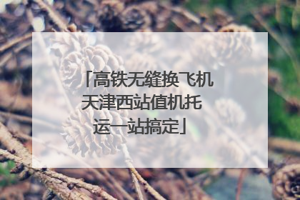 高铁无缝换飞机 天津西站值机托运一站搞定