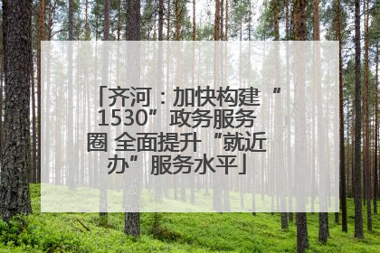 齐河：加快构建“1530”政务服务圈 全面提升“就近办”服务水平