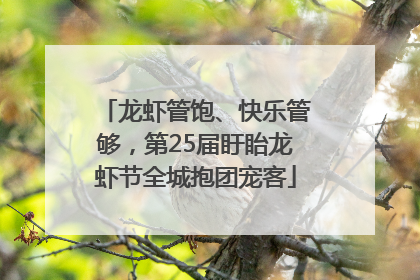 龙虾管饱、快乐管够,第25届盱眙龙虾节全城抱团宠客