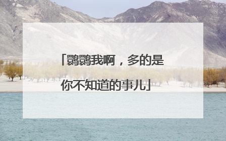 鹮鹮我啊，多的是你不知道的事儿