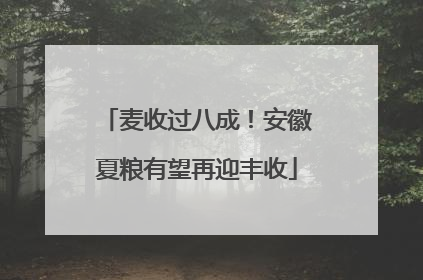 麦收过八成！安徽夏粮有望再迎丰收