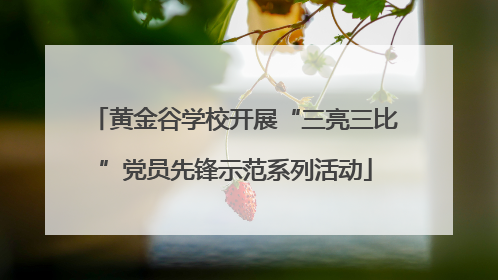 黄金谷学校开展“三亮三比”党员先锋示范系列活动