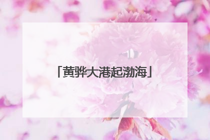 黄骅大港起渤海