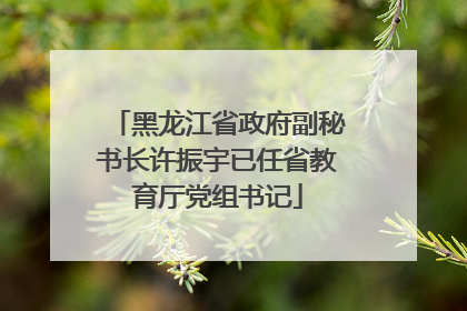 黑龙江省政府副秘书长许振宇已任省教育厅党组书记