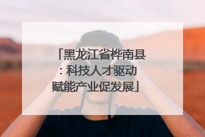 黑龙江省桦南县：科技人才驱动 赋能产业促发展