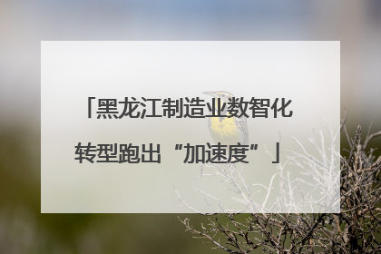黑龙江制造业数智化转型跑出“加速度”