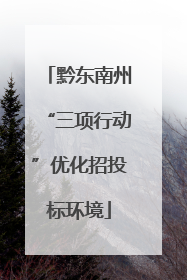 黔东南州“三项行动”优化招投标环境