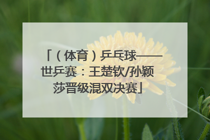 （体育）乒乓球——世乒赛：王楚钦/孙颖莎晋级混双决赛