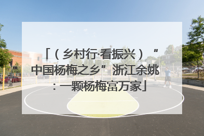 （乡村行·看振兴）“中国杨梅之乡”浙江余姚：一颗杨梅富万家