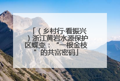 （乡村行·看振兴）浙江黄岩水源保护区蝶变：“一根金枝”的共富密码