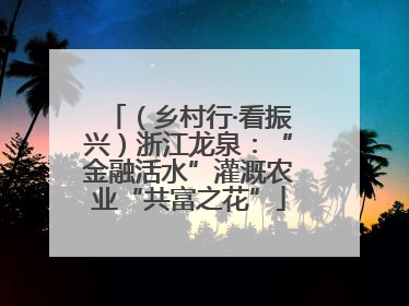 （乡村行·看振兴）浙江龙泉：“金融活水”灌溉农业“共富之花”