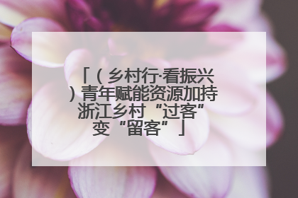 （乡村行·看振兴）青年赋能资源加持 浙江乡村“过客”变“留客”