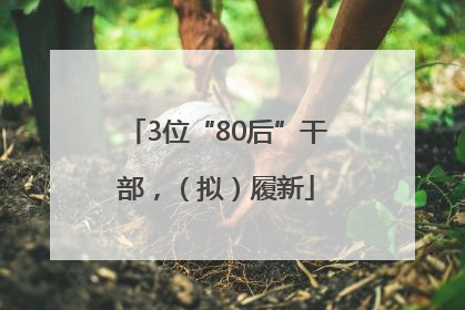 3位“80后”干部，（拟）履新
