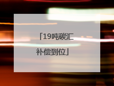 19吨碳汇补偿到位
