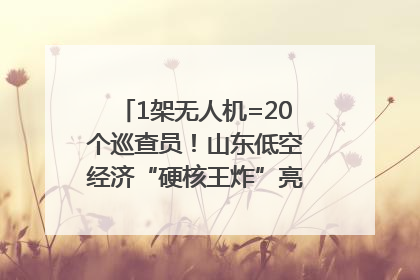1架无人机=20个巡查员！山东低空经济“硬核王炸”亮相青岛，下一个万亿赛道藏在这里