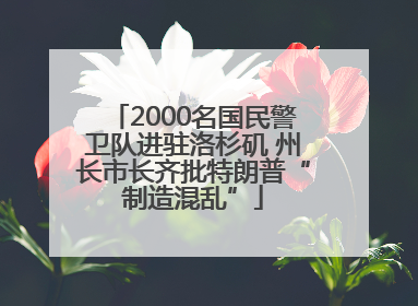 2000名国民警卫队进驻洛杉矶 州长市长齐批特朗普“制造混乱”