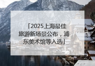 2025上海最佳旅游新场景公布，浦东美术馆等入选