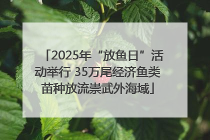 2025年“放鱼日”活动举行 35万尾经济鱼类苗种放流崇武外海域