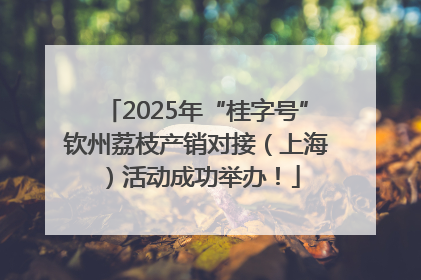 2025年“桂字号”钦州荔枝产销对接（上海）活动成功举办！