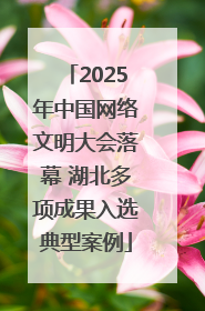 2025年中国网络文明大会落幕 湖北多项成果入选典型案例