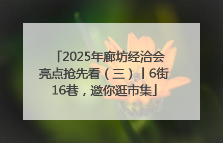 2025年廊坊经洽会亮点抢先看（三）丨6街16巷，邀你逛市集