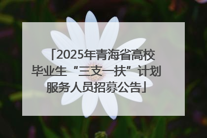2025年青海省高校毕业生“三支一扶”计划服务人员招募公告