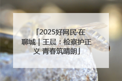 2025好网民·在聊城｜王晨：检察护正义 青春筑晴朗