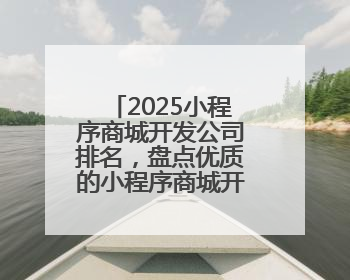 2025小程序商城开发公司排名，盘点优质的小程序商城开发公司
