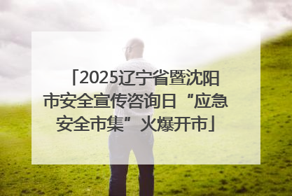 2025辽宁省暨沈阳市安全宣传咨询日“应急安全市集”火爆开市