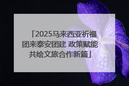 2025马来西亚祈福团来泰安团建 政策赋能共绘文旅合作新篇