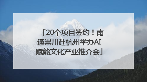20个项目签约！南通崇川赴杭州举办AI赋能文化产业推介会