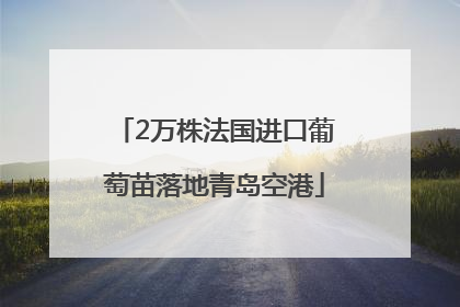 2万株法国进口葡萄苗落地青岛空港