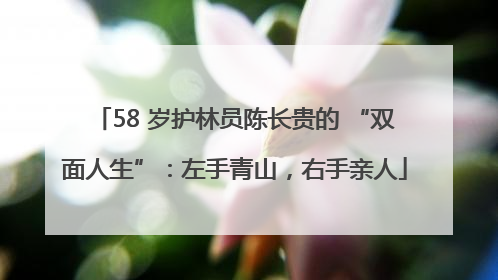 58 岁护林员陈长贵的 “双面人生”：左手青山，右手亲人